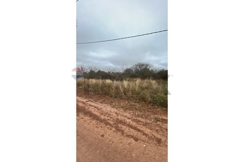 Terreno Comercial en Filadelfia, foto 4