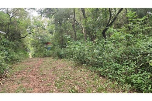 Terreno en ypacarai mbocajaty 2957 m2 — foto 5