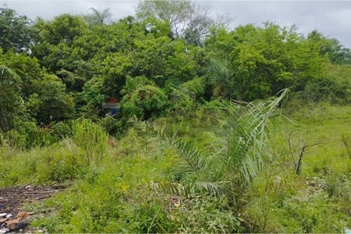 Terreno en Itá: ¡Inversión Soñada en 720m²!, foto 4