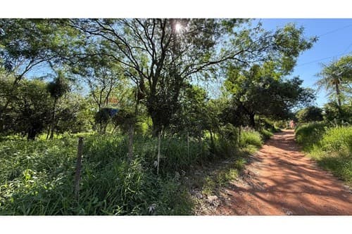 Terreno en venta 12.662m2 en esquina en Luque, foto 4