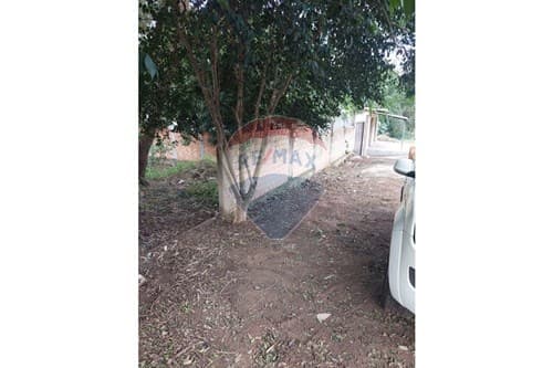 Terreno de 664 m2 - barrio san alfredo — foto 4