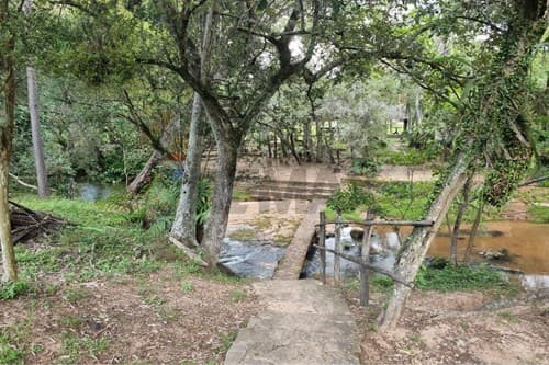 En venta 8 hectareas en zona caacupé — foto 2