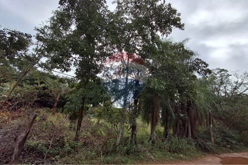 Terreno en santa elena cordillera — foto 3