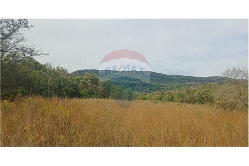 Terreno en paraguari — foto 3
