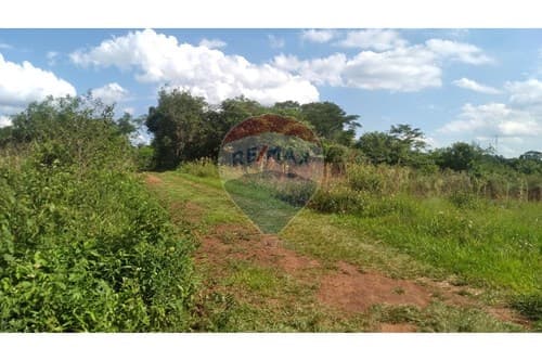 "Invierte en Terreno de 10,560 m² en Cambyretá"