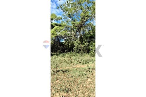Vendo Terreno en Limpio