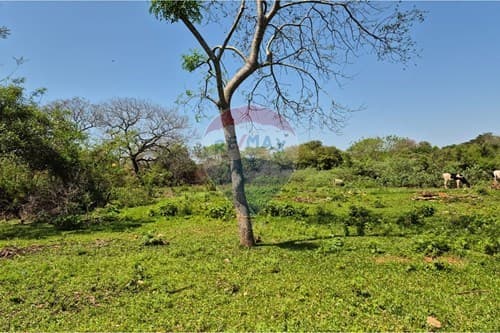 Amplio terreno 3.492 m² en Luque — foto 2
