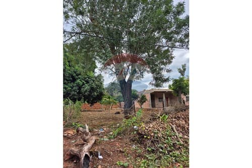 Terreno Ideal para Construir en Capiatá — foto 2