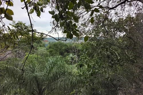 Terreno 6,3 Ha en Nueva Colombia