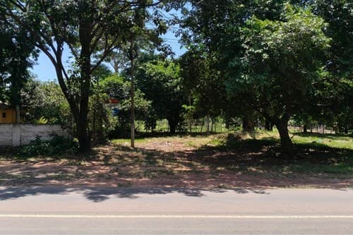 - Terreno sobre ruta, Yby Yau — foto 4