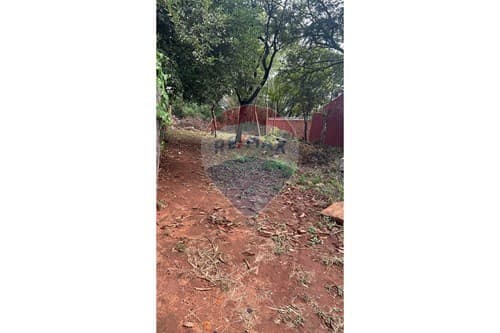 Vendo terreno en Luque