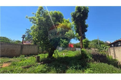 - terreno - paraguay - central - San Lorenzo — foto 5