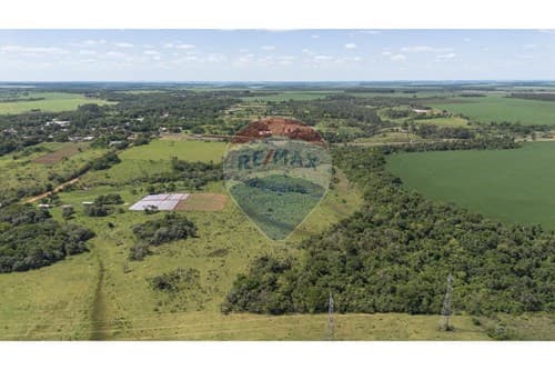 10 Hectareas sobre Ruta py 02 - km 52 YGUAZU, foto 4