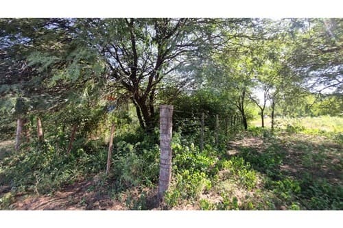 Terreno de casi 1 hectárea – loma plata — foto 3