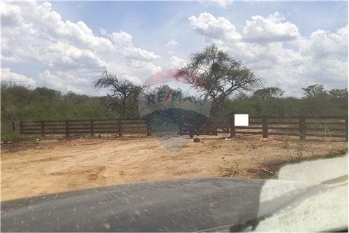 Campo de 8.141 há en el departamento de Boquerón, hacia la frontera con Argentina — foto 5