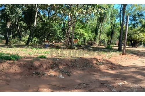 Terreno en cañadita itaugua — foto 3