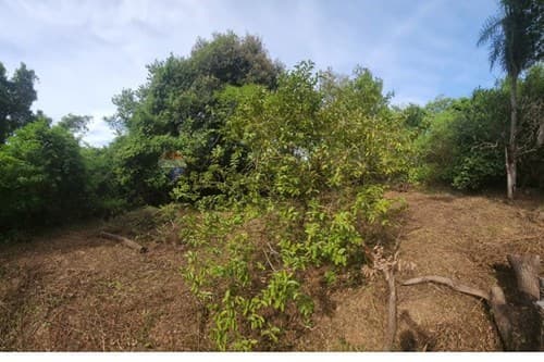 ¡Terreno en Itauguá! 1102 m² en Zona Estratégica — foto 4