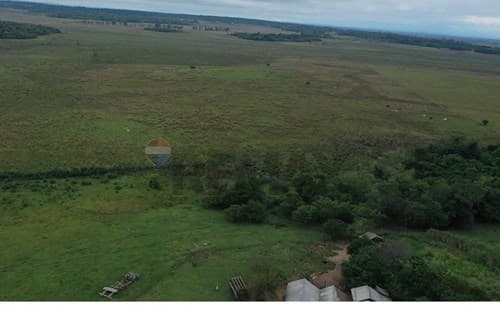 Terreno de 7.3 Ha sobre Asfalto — foto 3