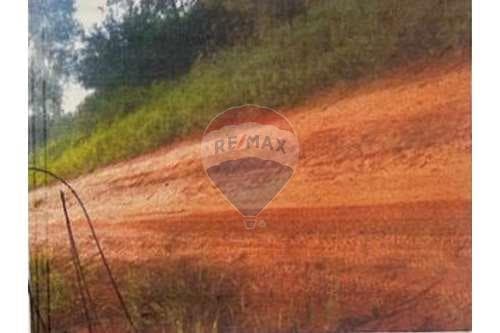 Terreno de 5has en santaní, foto 2