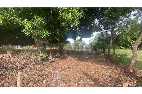 En venta 5ha - terreno en caaguazú
