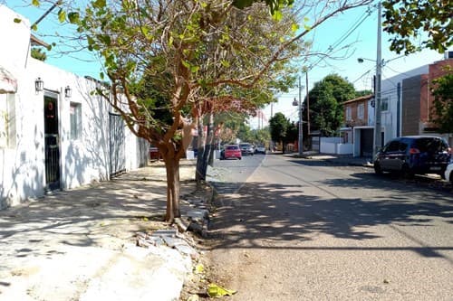 En venta propiedad con 11% de renta activa — foto 3
