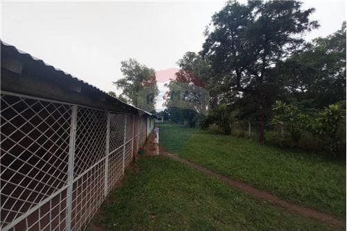 2 hermosos terrenos en ypacarai — foto 4