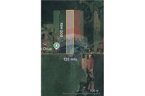 Propiedad de 10 hectareas en cerrito