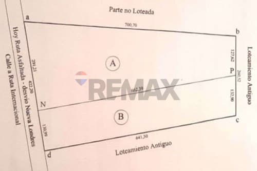 De 14,5 hectáreas coronel oviedo — foto 4