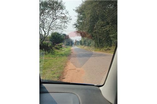 Terreno de 1 Hectárea — foto 2