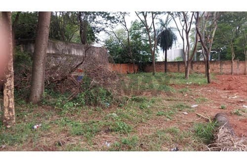 Terreno en Venta – San Lorenzo
