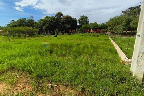 Terreno Ideal de 360m² en Luque — foto 2