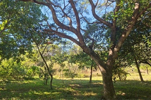 Terreno en San Bernardino: ¡Tu Inversión Ideal!
