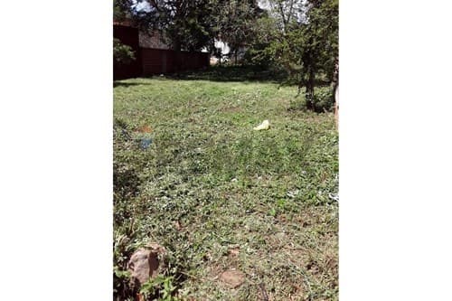 En venta terreno - Luque, foto 3