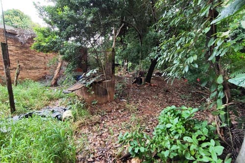 Terreno en venta en campo grande Luque, foto 2