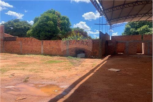 Dos terrenos juntos con tinglado en capiata — foto 3