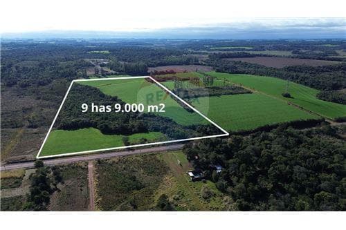 Propiedad de 9 hectáreas 9.000m2 en venta!!