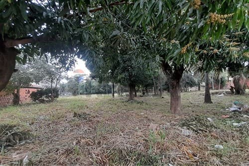 Terreno de 4.569 m2 en mariano r. Alonso!, foto 4