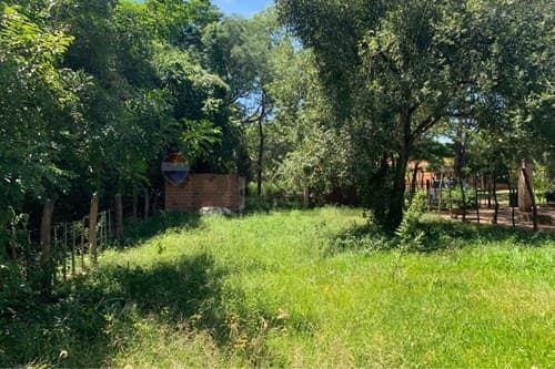 Terreno en Vendo-Terreno-Limpio-Isla Aranda, Isla Aranda — foto 3