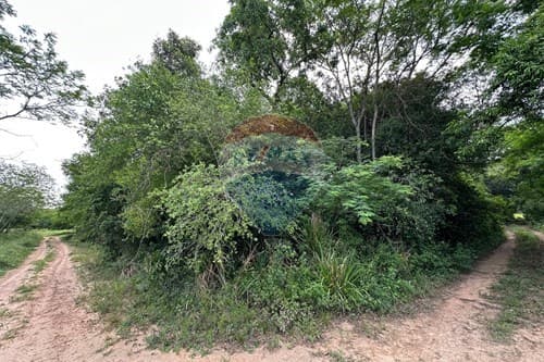 En venta amplio terreno en surubi-i, foto 5