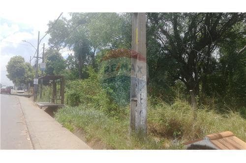 Terreno en venta 734 m2 - ruta 2 km 24-itagua — foto 2