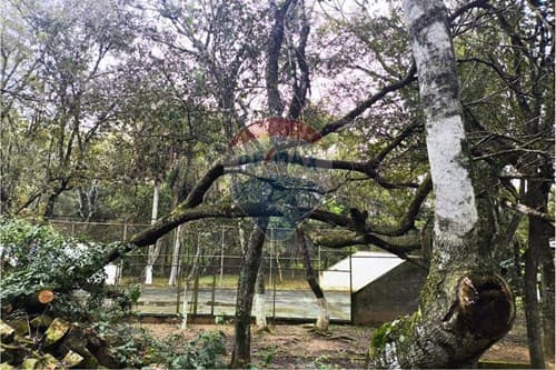 Oportunidad única en cnel oviedo terreno de 7.5 ha — foto 2