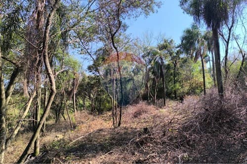 Terreno en caacupe — foto 5