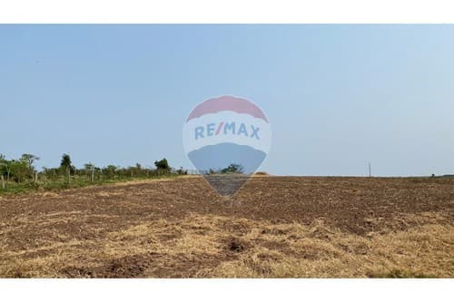 Campo en venta en Simón Bolívar — foto 2