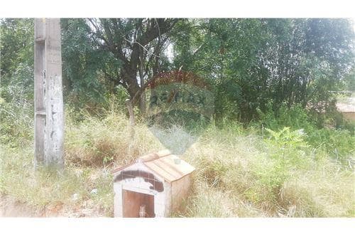 Terreno en venta 734 m2 - ruta 2 km 24-itagua — foto 3