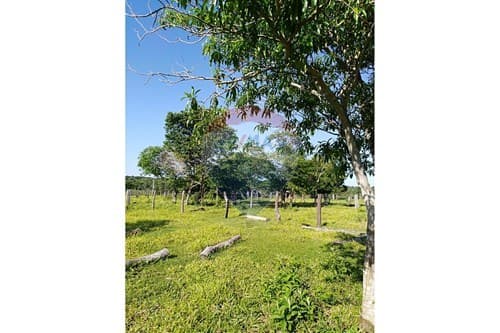 Estancia en canindeyu — foto 4