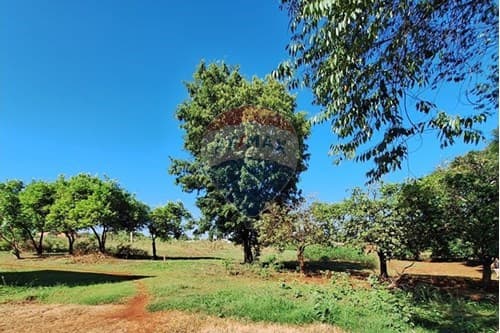 Terreno de 4.250 m² en Caacupé Oportunidad Única — foto 2