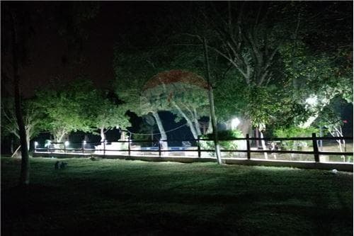 Casa amoblada con piscina en caacupe — foto 4