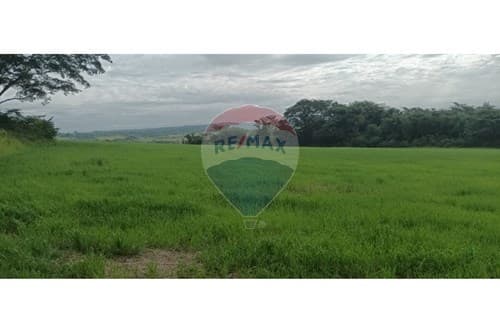 "Tu Oasis Rural en San Pedro Del Paraná" — foto 4