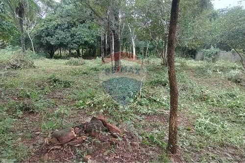 Terreno en Caacupé: Excelente Oportunidad ! — foto 3