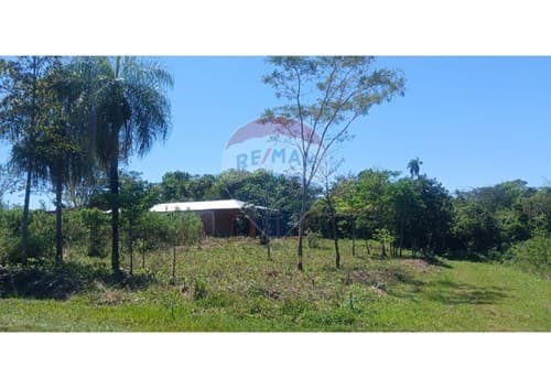 Terreno en venta - san juan del parana, foto 3